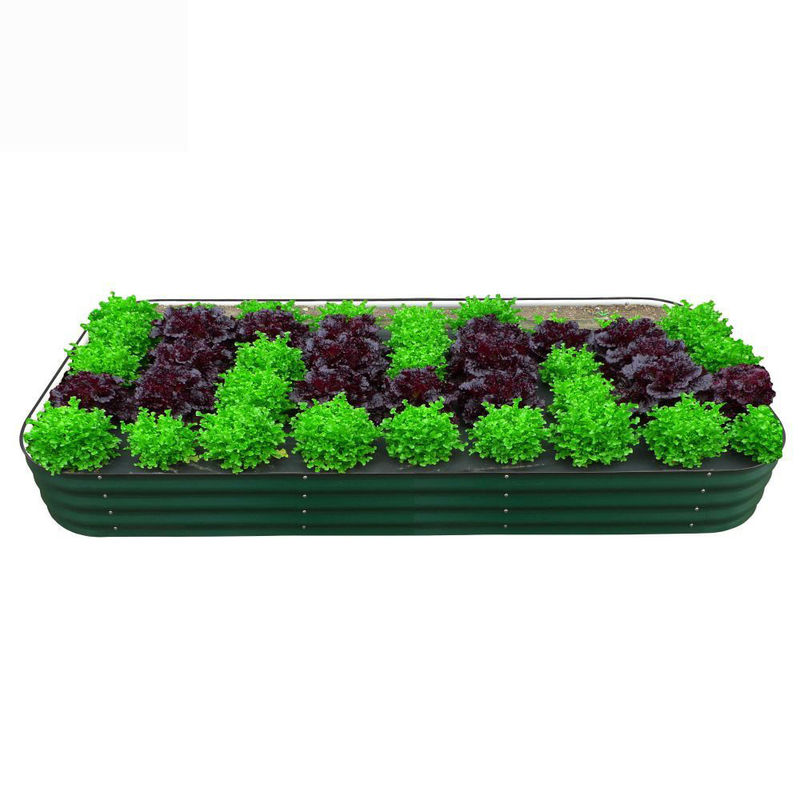 Double Layer Galvanized Raised Garden Bed Kit 6.4*3.4*0.92Ft Galvanized Oval Raised Bed
